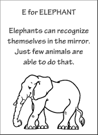 We have collected interesting trivia about animals and our educational video is like an animal fact guide, which is an excellent tool to teach animal facts for kids. English Abc Animals For Kids Elephant Fun Facts
