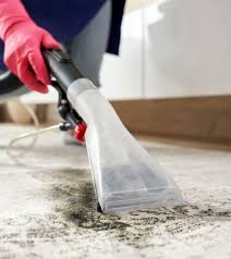 carpet cleaning service chandigarh