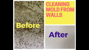 Other wise no matter what kind of fix you do on the inside. How To Remove Mold From Walls Drywall Youtube