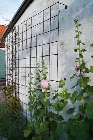 90° elbow fittings or side outlet elbow fittings can be used to make the corners of this project. 45 Trellis Ideas You Can Build Yourself Simplified Building