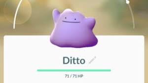 Pokemon Go Ditto Guide How To Catch A Ditto In Pokemon Go