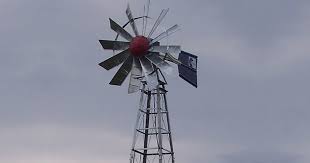 ornamental windmill head backyard