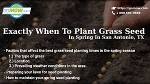 exactly when to plant gr seed in