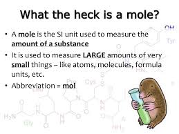 Moles And Molar Mass
