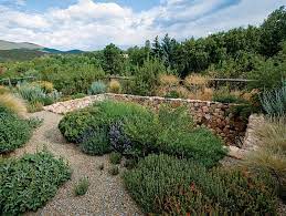 An Eco Friendly Santa Fe Garden