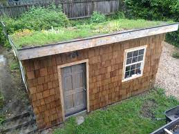 Garden Shed And Living Roof Update