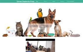 We have quality and healthy german shepherd puppies for sale. Home