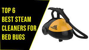 bed bug steamer cleaners