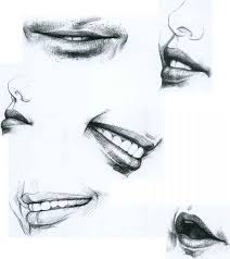 Some fun facts before starting sketching. The Mouth Drawing Faces And Figures Joshua Nava Arts