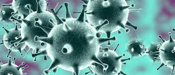 Antiviraler Wirkstoff: Universale Waffe gegen Ebola-, MERS- und  Sars-Erreger? - Spektrum der Wissenschaft