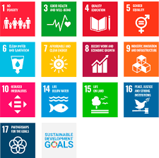 sustainable development goals exkal