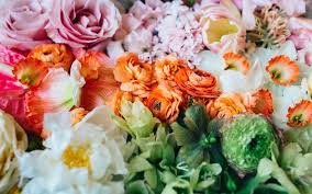 Guaranteed best prices on bulk flowers we are a wholesale florist that sells quality flowers to the general public and businesses. Cali Wholesale Flowers 5858 Dryden Pl 3 Carlsbad Ca 92008 Usa