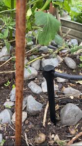 Diy Irrigation System In Your Garden