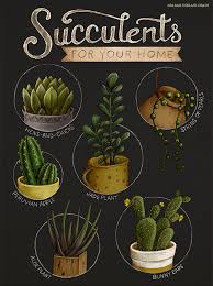 Succulent Chart On Student Show