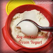 homemade vegan frozen yogurt