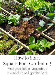 How To Start Square Foot Gardening
