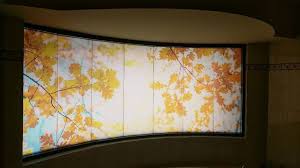 3m Frosted Privacy Window