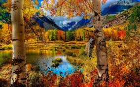 beautiful nature fall hd wallpapers