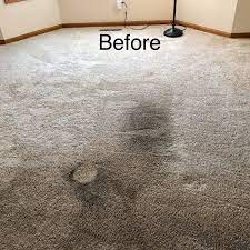 top 10 best area rug cleaning in saint