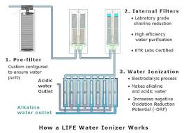 how water ionizers work life ionizers