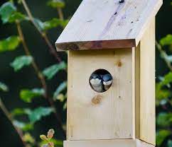 un nichoir pour oiseaux dans son jardin