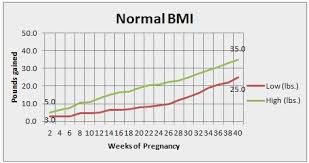 Pregnancy Weight Gain Chart Based On 128lbs Experienced