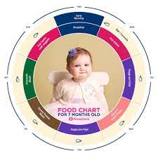 7 months baby food chart indian food