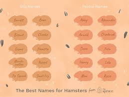 Jadi untuk kalian yang ingin nickname game kamu keren dan tidak alay. 100 Names For Pet Hamsters