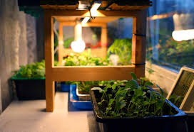 grow lights for plants importance