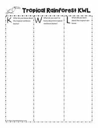 Tropical Rainforest Kwl Chart Worksheets