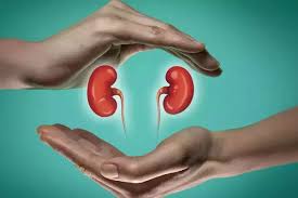 ਕਿਡਨੀ'' ਖ਼ਰਾਬ ਹੋਣ ''ਤੇ ਦਿਖਾਈ ਦਿੰਦੇ ਹਨ ਇਹ ਲੱਛਣ, ਰਾਹਤ ਪਾਉਣ ਲਈ ਅਪਣਾਓ ਘਰੇਲੂ  ਨੁਸਖ਼ੇ - these symptoms appear when the kidney is damaged-mobile