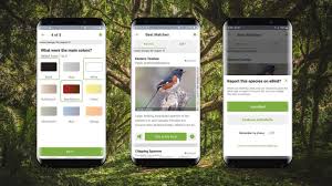 This app can let you know biology detail of any bird just by a photo. Help Identifying Birds Great Backyard Bird Count