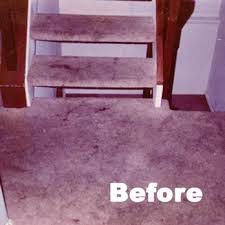absolutely clean carpets 10 photos
