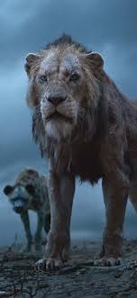 lion king wallpaper
