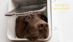 Install Dog Or Cat Flap In A Glass Door