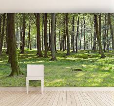 Woodland Forest Self Adhesive Wallpaper