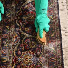 oriental rug cleaning in venice fl