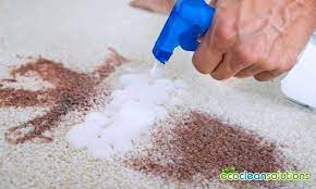 carpet cleaning enterprise in dublin