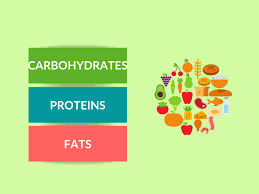 difference between carbohydrates