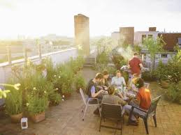 tips on building a rooftop garden