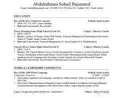 Free Chronological Resume Examples       how to write a good resume  go