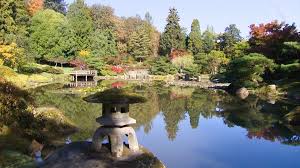 The Seattle Japanese Garden Bursts With
