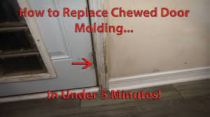 diy door molding replacement in under 5