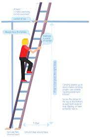 ladders safework sa