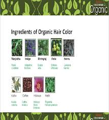 Colour Me Organic Hair Color