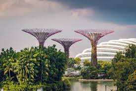 Gardens By The Bay Where Wonders Bloom