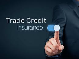 Letter of Credit vs Trade Credit Insurance | Qian