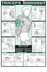11 Biceps U Forearm Workout 24 X 36 Laminated Chart