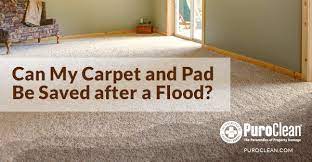 can my carpet and pad be saved after a
