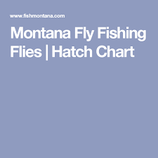 Montana Fly Fishing Flies Hatch Chart Manly Hobbies